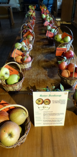 Rote Sternrenette aus dem Apfel-Jahrgang 2016